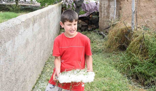 Dolu ve sel vurdu, hasada günler kala arpa tarlaları zarar gördü