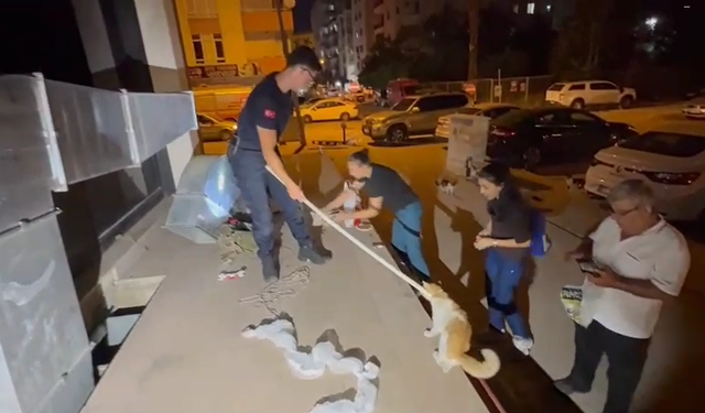 Adana'da Nefes Kesen Kurtarma Operasyonu: Havalandırmaya Düşen Kedi Sağ Salim Çıkarıldı