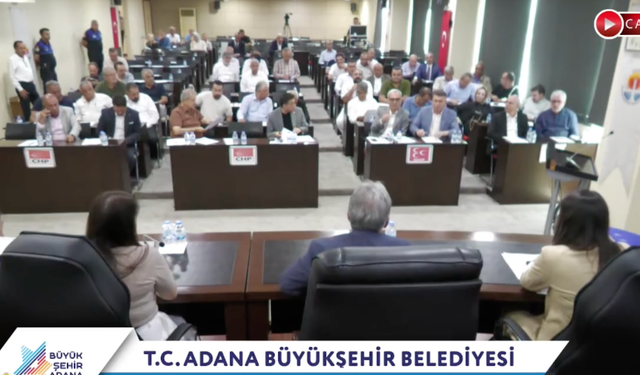 Karaisalı'da Ulaşım Krizi, Sivrisinek Sorunu ve Yol Tepkisi Meclis Gündeminde