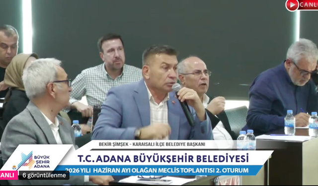 Karaisalı'da Sivrisinek ve Kara Sinek Alarmı! Bekir Şimşek Acil Çözüm İstedi