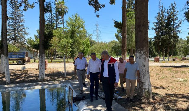 Adana'da 12 Milyon Sazan Yavrusu Doğayla Buluşuyor!