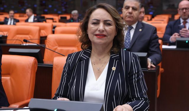 CHP'li Şevkin'den IBAN Dolandırıcılığı Tepkisi