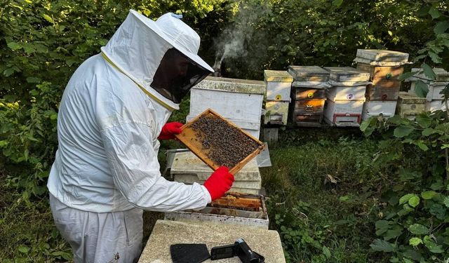 Arıcılıkta Yeni Dönem Resmen Başladı! Uymayana Ağır Ceza