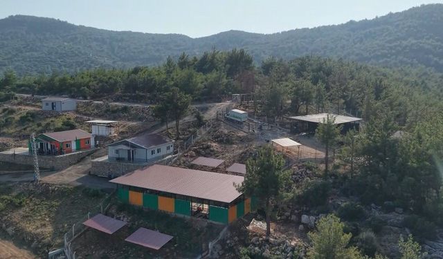 Kozan'da Sahipsiz Hayvanlar İçin Dev Merkez Hizmete Açıldı