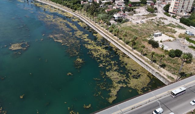 Seyhan Nehri Alarm Veriyor! Gönüllü Genç Tek Başına Temizliğe Çıktı