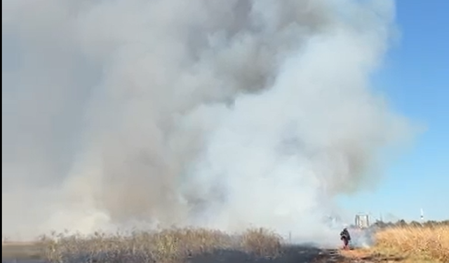 Sarıçam'da Otluk Alanda Korkutan Yangın
