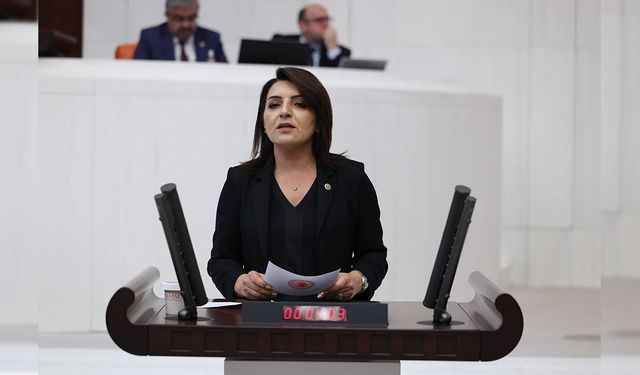 TBMM'de Faiz Tartışması! Gülcan Kış: Hazine'nin Borcu 15 Trilyon Liraya Dayandı