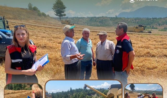 Adana'da Hasat Alarmı! Tarlalarda Sıkı Denetim Başladı