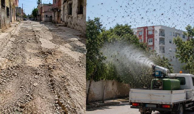 Adana'da Mahallelinin Çilesi Bitmiyor! Bozuk Yol ve Sinek Sorunu Tepki Çekti