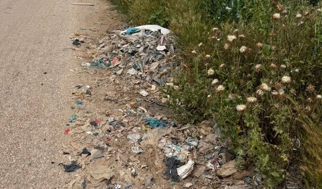 Büyük Dikili'de Çöp Tepkisi: "Zehirleniyoruz"