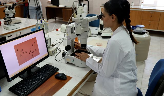 Adana’da Türkiye’nin İlk Ticari Sığır Embriyo Merkezi: Yüksek Verimlilik Hedefleniyor