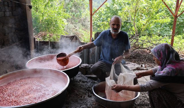 Adana’da Kızılcık Mesaisi Başladı: Kilosu 1000 Liraya Kadar Çıkıyor