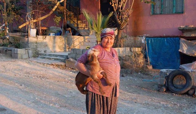 7 Yıl Sonra Çifte Cinayette Şok Gelişme! Yaşlı Çiftin Katil Zanlısı Tutuklandı