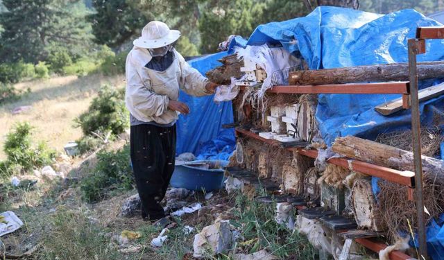 Emeklilikte Hayalini Gerçekleştirdi, Torosların Zirvesinde Arılarıyla Yaşıyor