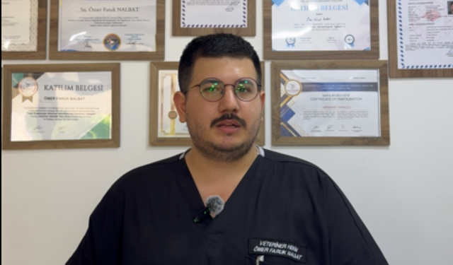 Uzman Veterinerden Kavurucu Sıcaklarda Sokak Hayvanları İçin Hayati Uyarı