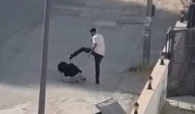 Tekme Tokat Darp Etti: Adana'da Sokak Ortasında Kadına Şiddet!