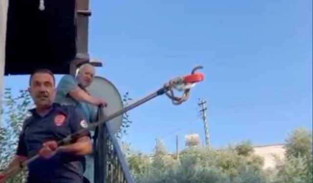 Yumurtalık'ta Eve Giren Yılan İtfaiyeyi Harekete Geçirdi