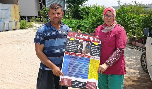 Adana’da Yetiştiricilere Buzağı Kayıplarını Azaltmaya Yönelik Eğitim