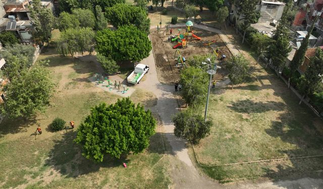 Seyhan’da park ve bahçelerde seferberlik: 24 mahallede budama, 17 parkta yenileme