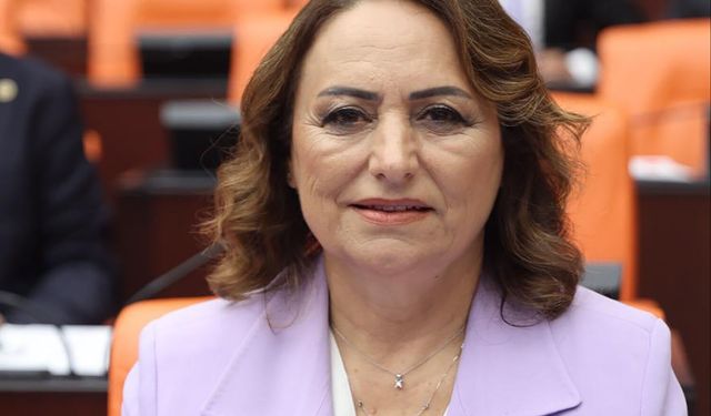CHP'li Şevkin'den TBMM'de Adana İçin "Bireysel Silahlanma" Uyarısı