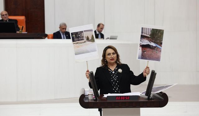 Müzeyyen Şevkin'den 17 Ağustos Mesajı: "Fay Zonlarında Yapılaşmaya Son Verilmeli"