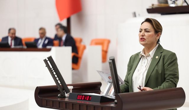 CHP'li Şevkin'den Emekli Akademisyen Düzenlemesine 'Liyakat ve Eşitlik' Tepkisi