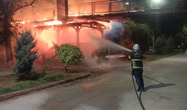 Merkez Park’ta Yangın Paniği: Alevler Asma Köprüye Sıçradı