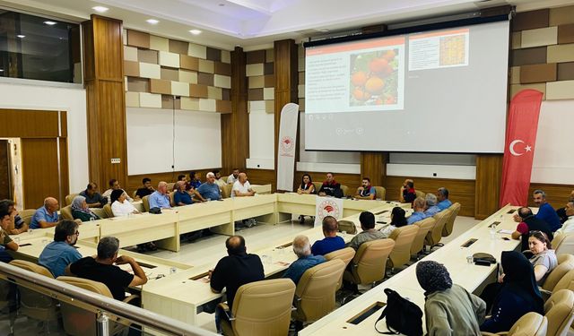 Kozan Hurması İçin Önemli Adım! Kaliteyi Artıracak Eğitim Verildi