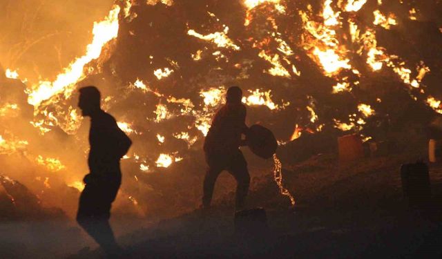 Kozan’da Korku Dolu Anlar! Alevler Evlerin Kapısına Kadar Geldi