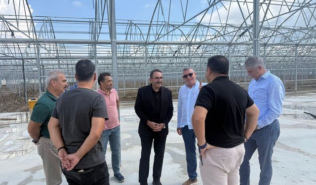 Karataş Sera Organize Tarım Bölgesi’nde Çalışmalar Sürüyor