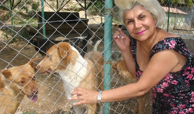 Nesrin Çıtırık "Hayvanların Oyu Yok Ama Bizim Var!"