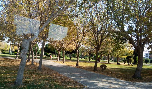 Gece Yarısı Gürültü İsyanı! Adana’da Mahalle Sakinleri Yetkililerden Çözüm Bekliyor