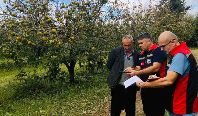 Adana Kozan’da Dolu Hasarı İçin Harekete Geçildi! Çiftçilere Başvuru Çağrıs