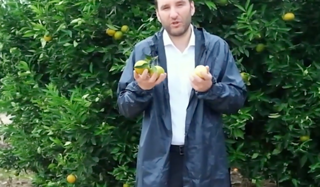 Adana'da Narenciye Dalında Kaldı! YENİ Partili Bilal Bilici’den İhracat ve Lojistik Çağrısı
