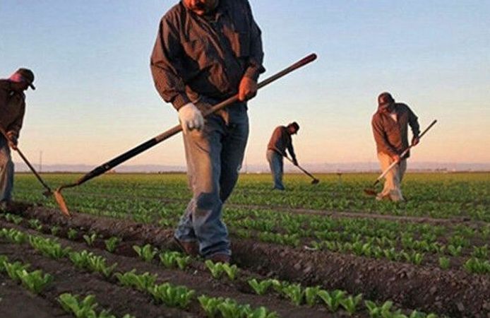 Çiftçiye Destek Müjdesi! Tarımsal Ödemelerde Yeni Rakamlar Belli Oldu