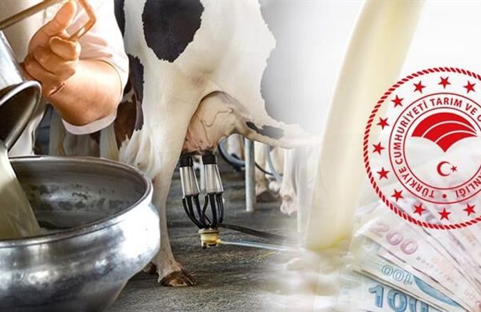 Süt Üreticilerine Müjde! Çiğ Süt Desteğinde Yeni Dönem