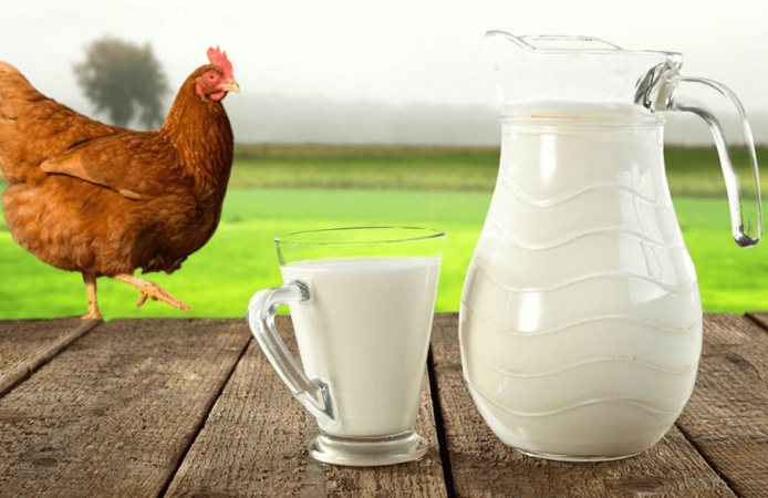 Yumurta ve Tavukta Mart Verileri Açıklandı: Mutfak Fiyatlarına Nasıl Yansıyacak?