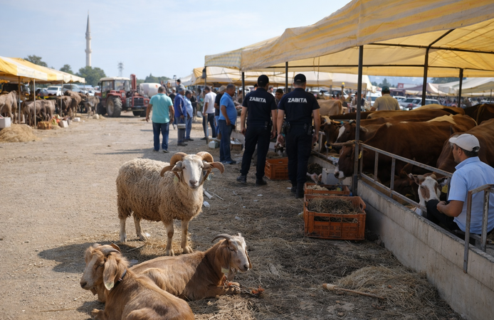 Bayramda Bunu Yapan Yandı! Tam 8 Bin 687 Lira Cezası Var