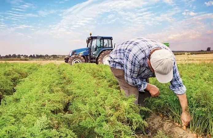 Tarım-ÜFE Verileri Açıklandı: Üretici Fiyatlarında Sert Düşüş