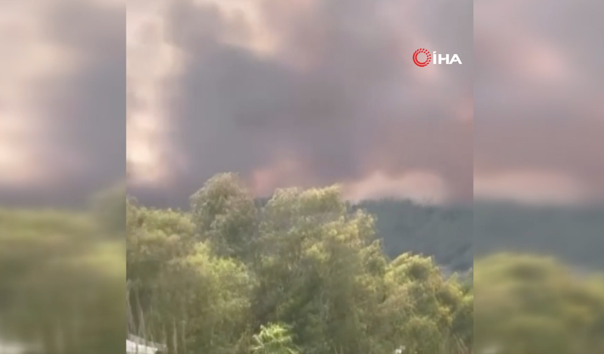 Adana'da Orman Yangını