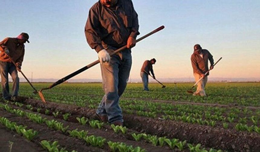 Adana’da Çiftçiye Dev Destek: 432 Milyon TL Hesaplara Yatırılıyor