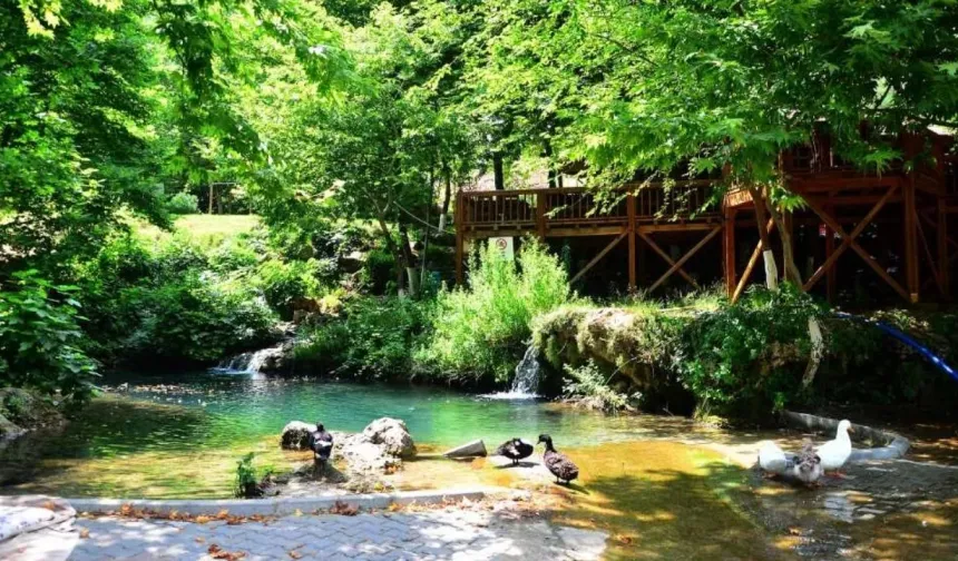 Adana’nın Gizli Cenneti Geri Dönüyor: Yer Köprü’de Büyük Açılış