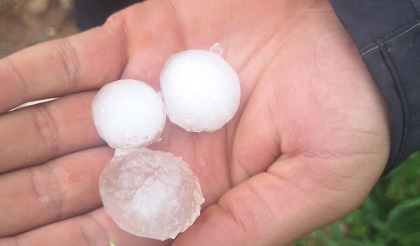 Başkan Mutlu Doğru'dan Hatay'daki Dolu Felaketi İçin 'TARSİM' Uyarısı!
