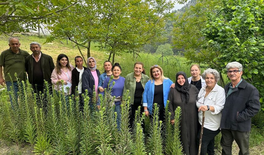 Ak Zambak Projesiyle Kadın Emeği Toprakla Buluşuyor