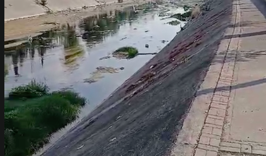 Yüreğir’de Vatandaş İsyan Etti: Kanal Bataklığa Döndü!