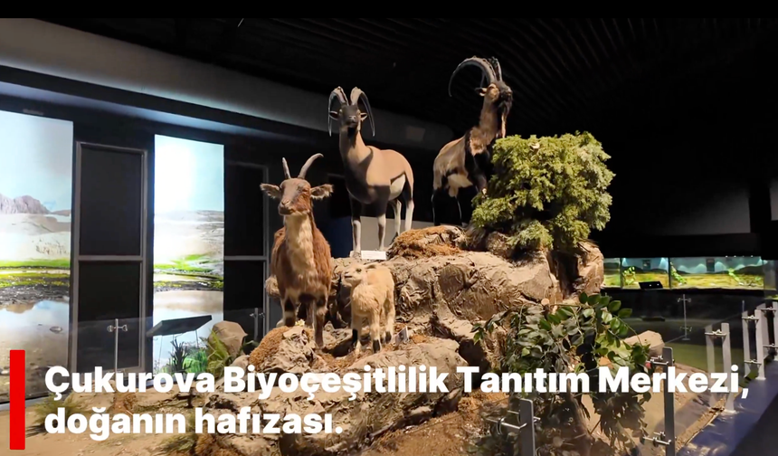 Vali Yavuz'dan Davet: Çukurova'nın Eşsiz Biyoçeşitliliğini Keşfedin