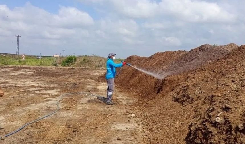 Adana'da Akdeniz Meyve Sineğine Karşı Yoğun Mücadele Sürüyor