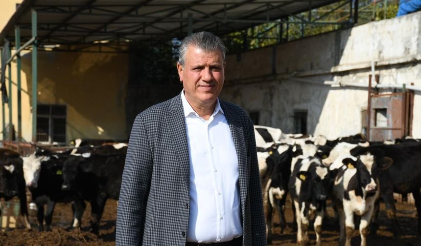 Barut'tan Süt Fiyatı Tepkisi: Üretici de Tüketici de Kaybediyor