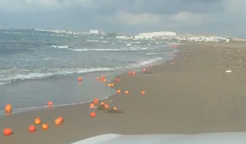 Karataş Sahili Çürümüş Greyfurtlarla Kaplandı