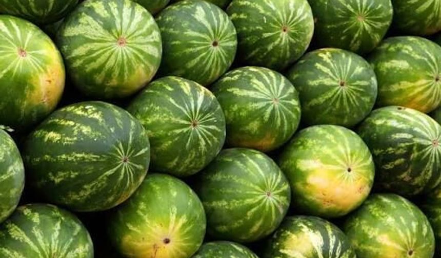 Adana Karpuzunu Bu Kadar Özel Yapan Özellikler Açıklandı
